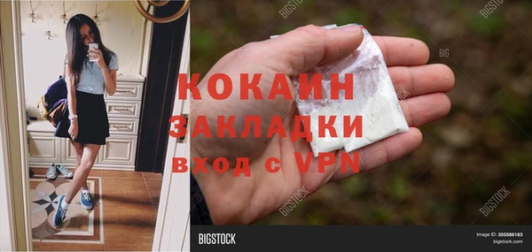 ПСИЛОЦИБИНОВЫЕ ГРИБЫ Алзамай